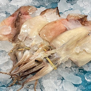 최상급 특大 반건조 오징어 1kg (10미 내외)